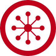 A red, circular icon with a white center. Inside the center is a red central circle with eight smaller circles connected to it by lines, forming a radial pattern. Resembling the way Dr. Stoppani helps connect various fitness goals, the outer edge of the icon is a thick red border.